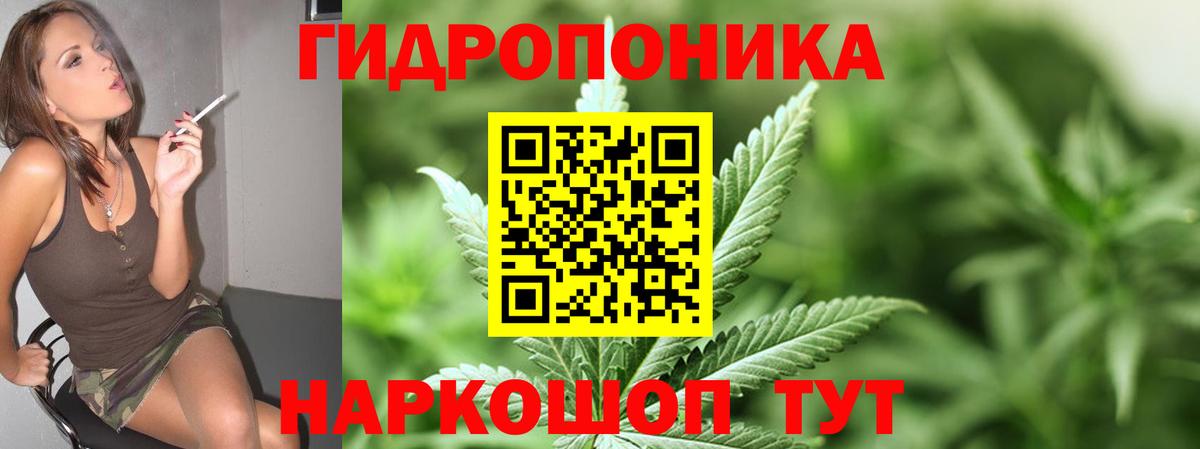 Канабис ГИДРОПОН Иркутск